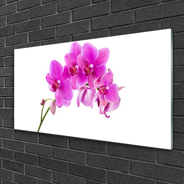 Skleneny obraz Vstavač kvet orchidea 100x50 cm 2 Prívesky