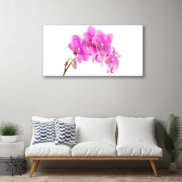 Skleneny obraz Vstavač kvet orchidea 100x50 cm 2 Prívesky