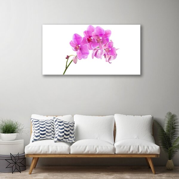 Skleneny obraz Vstavač kvet orchidea 100x50 cm 2 Prívesky