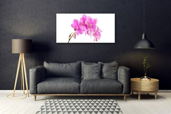 Skleneny obraz Vstavač kvet orchidea 100x50 cm 2 Prívesky
