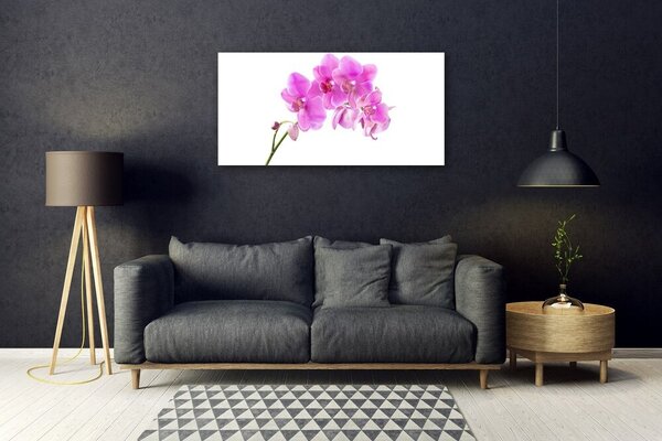Skleneny obraz Vstavač kvet orchidea 100x50 cm 2 Prívesky