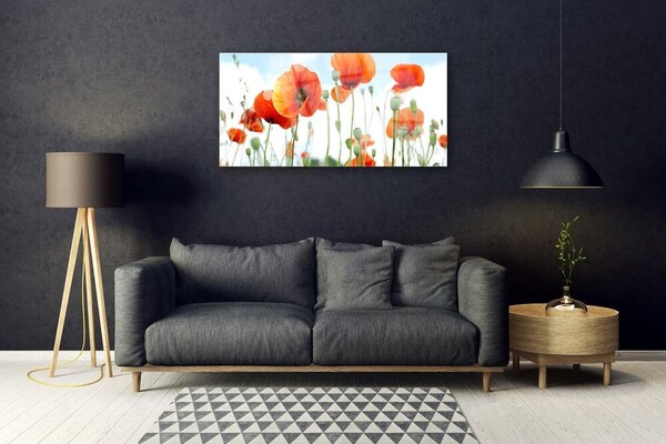 Skleneny obraz Kvety maky lúka pole príroda 100x50 cm 2 Prívesky