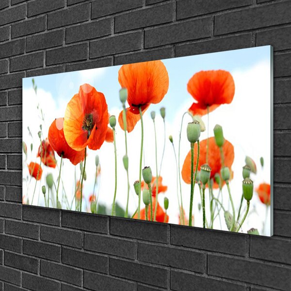Skleneny obraz Kvety maky lúka pole príroda 100x50 cm 2 Prívesky