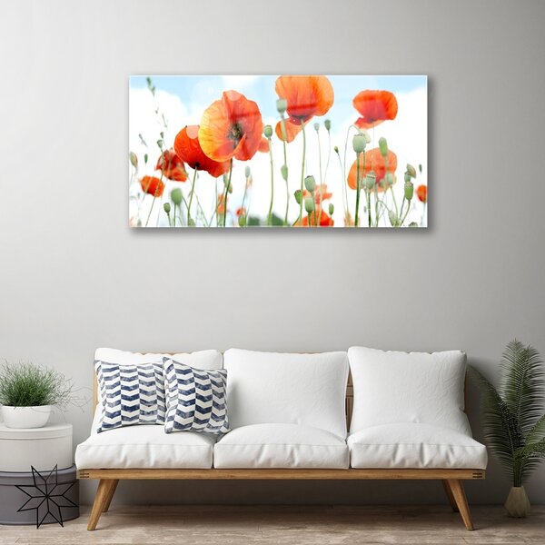 Skleneny obraz Kvety maky lúka pole príroda 100x50 cm 2 Prívesky