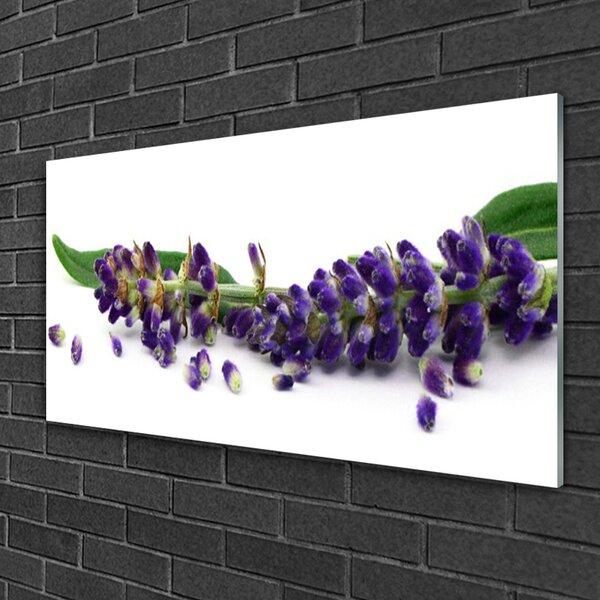 Skleneny obraz Levanduľa mŕtva príroda 100x50 cm 2 Prívesky