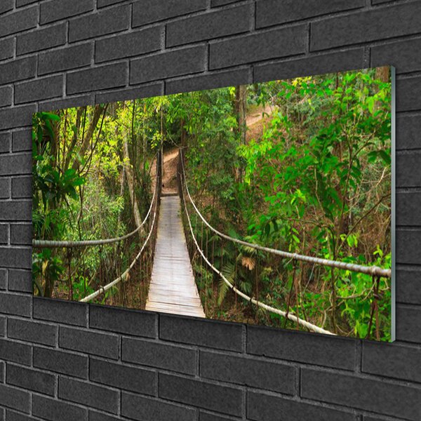 Skleneny obraz Most džungľa tropický les 100x50 cm 2 Prívesky
