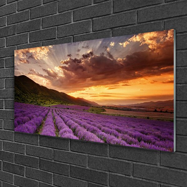 Skleneny obraz Pole levanduľa západ slnka 100x50 cm 2 Prívesky