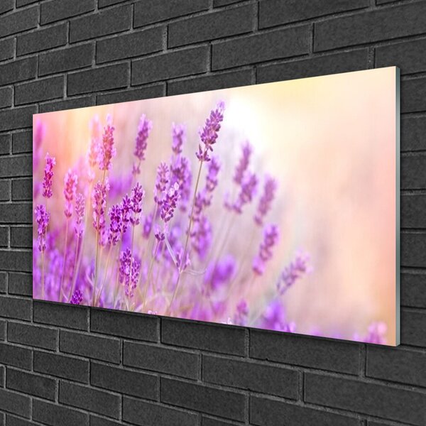 Skleneny obraz Levanduľovej pole slnko kvety 100x50 cm 2 Prívesky