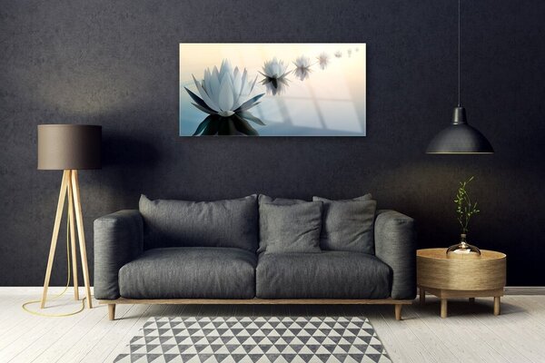 Skleneny obraz Vodné lilie biely lekno 100x50 cm 2 Prívesky