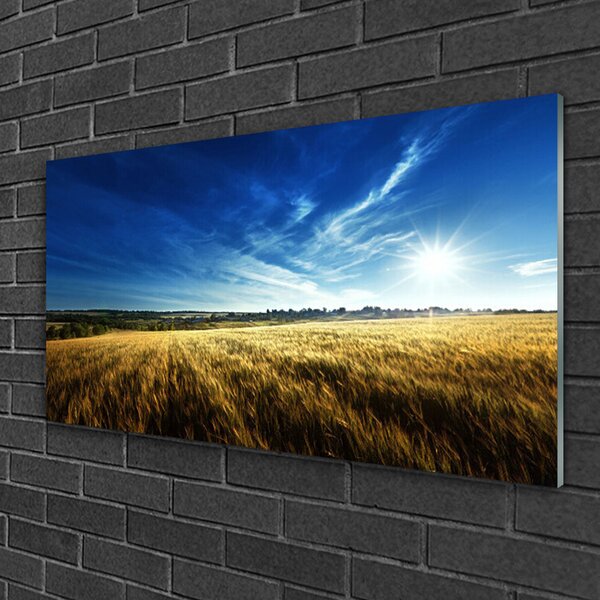 Skleneny obraz Pole obilie slnko krajina 100x50 cm 2 Prívesky