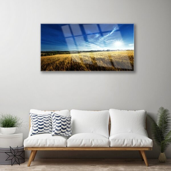 Skleneny obraz Pole obilie slnko krajina 100x50 cm 2 Prívesky