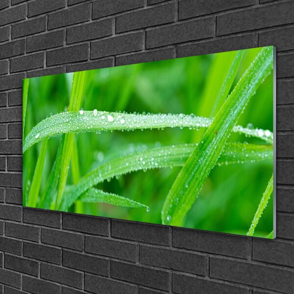 Skleneny obraz Listy kvapky rosy príroda 100x50 cm 2 Prívesky