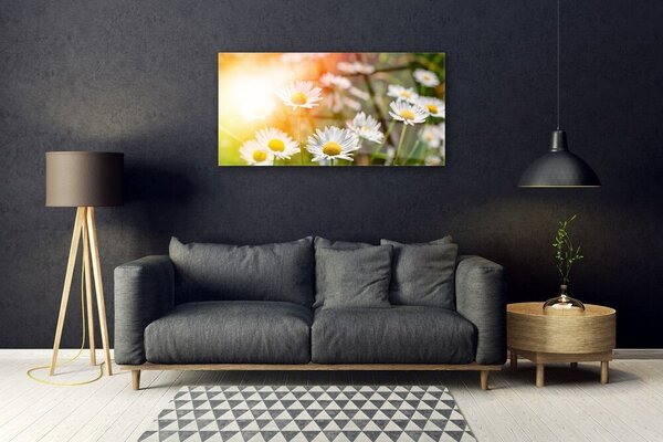 Skleneny obraz Sedmokrásky kvety lúče 100x50 cm 2 Prívesky