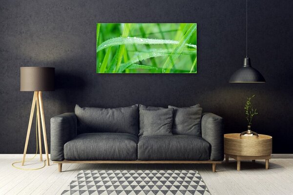 Skleneny obraz Listy kvapky rosy príroda 100x50 cm 2 Prívesky