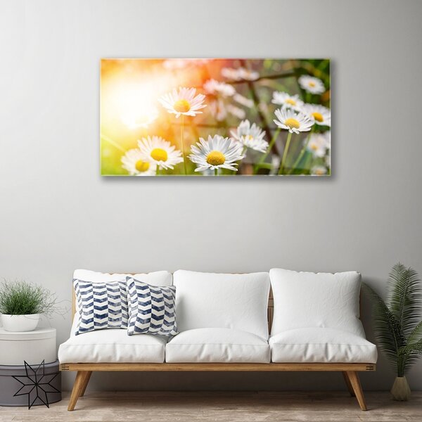 Skleneny obraz Sedmokrásky kvety lúče 100x50 cm 2 Prívesky