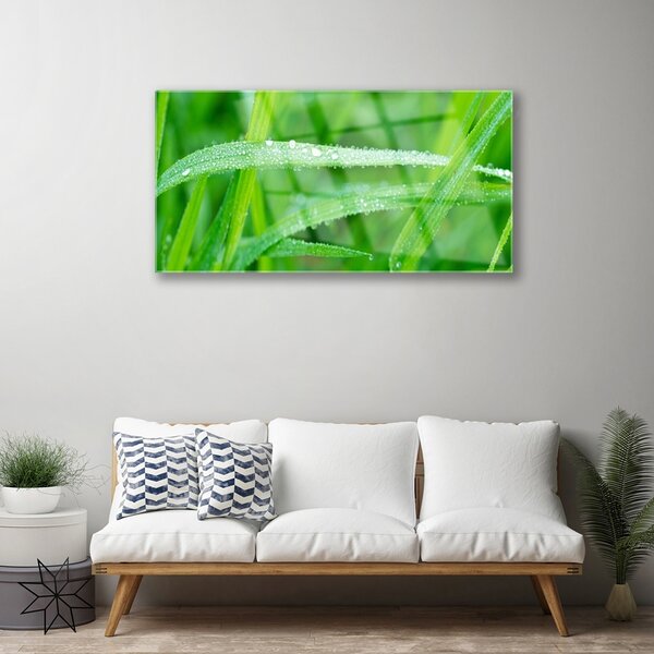 Skleneny obraz Listy kvapky rosy príroda 100x50 cm 2 Prívesky