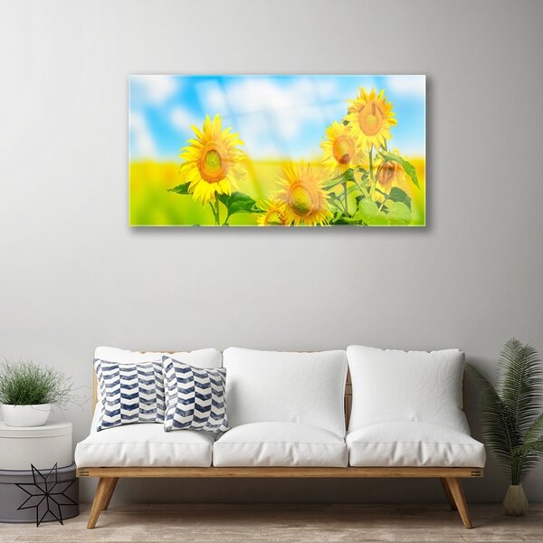 Skleneny obraz Slnečnica kvety príroda 100x50 cm 2 Prívesky