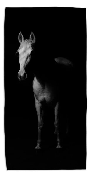 Sablio Uterák Kôň v tieni - 50x100 cm