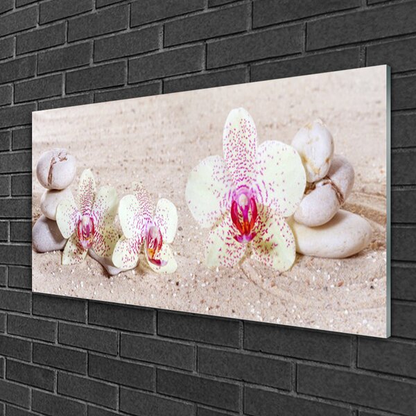 Skleneny obraz Orchidea kamene zen písek 100x50 cm 2 Prívesky