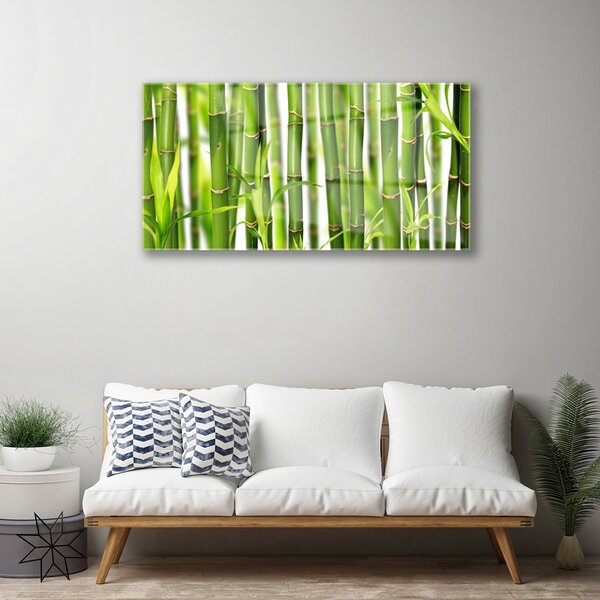 Skleneny obraz Bambusové výhonky listy bambus 100x50 cm 2 Prívesky