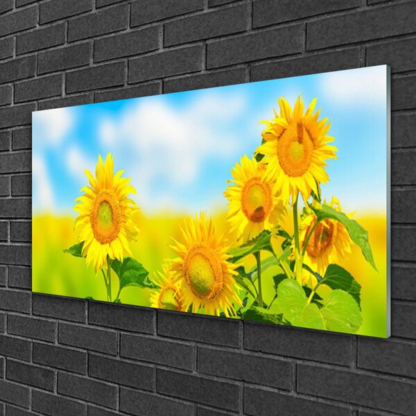 Skleneny obraz Slnečnica kvety príroda 100x50 cm 2 Prívesky