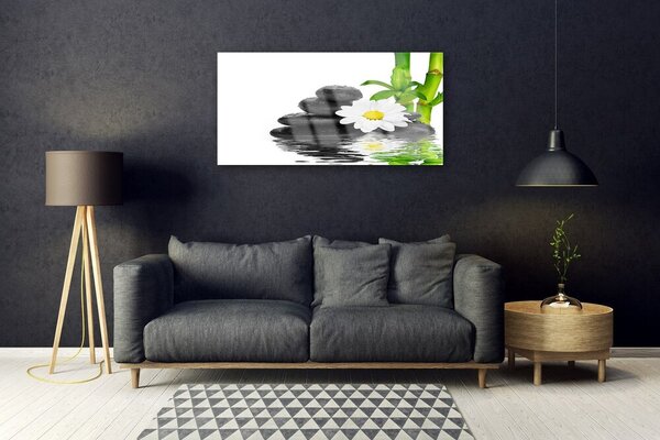 Skleneny obraz Kamene zen bambus výhonky 100x50 cm 2 Prívesky