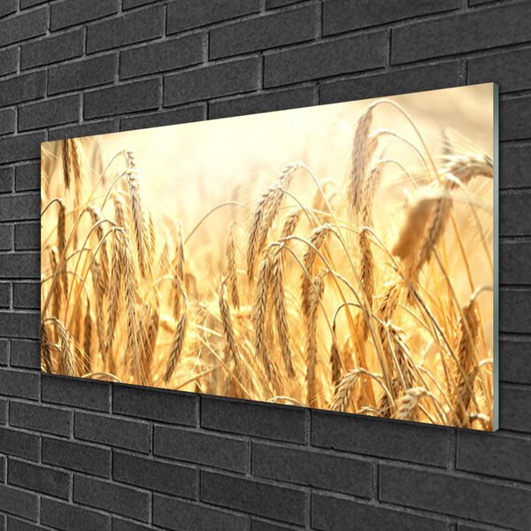 Skleneny obraz Obilie pole klasy príroda 100x50 cm 2 Prívesky