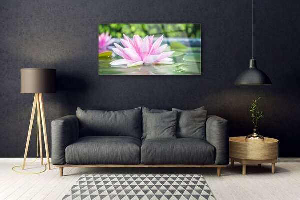 Skleneny obraz Vodné lilie rybník príroda 100x50 cm 2 Prívesky