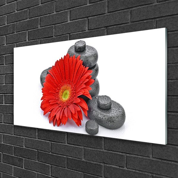 Skleneny obraz Kvety gerbery kamene zen 100x50 cm 2 Prívesky