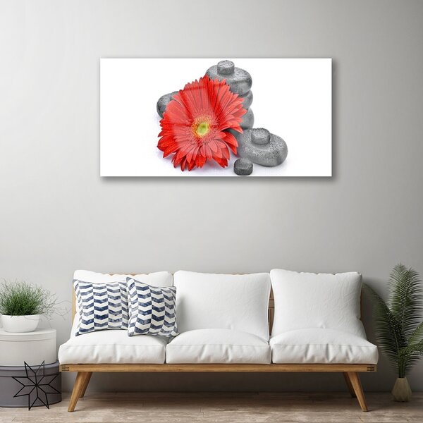 Skleneny obraz Kvety gerbery kamene zen 100x50 cm 2 Prívesky