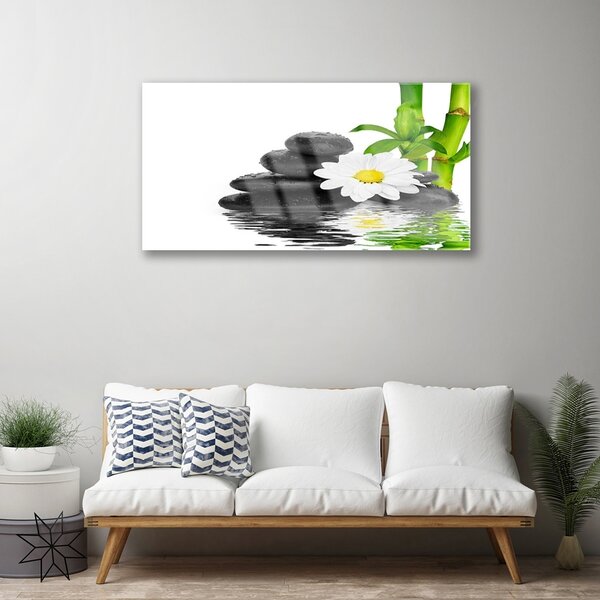 Skleneny obraz Kamene zen bambus výhonky 100x50 cm 2 Prívesky