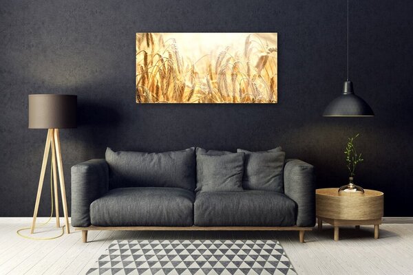 Skleneny obraz Obilie pole klasy príroda 100x50 cm 2 Prívesky