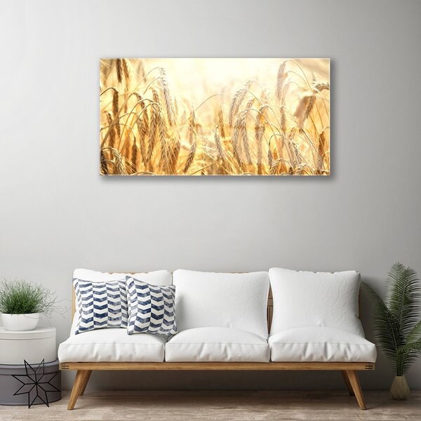 Skleneny obraz Obilie pole klasy príroda 100x50 cm 2 Prívesky