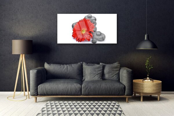 Skleneny obraz Kvety gerbery kamene zen 100x50 cm 2 Prívesky