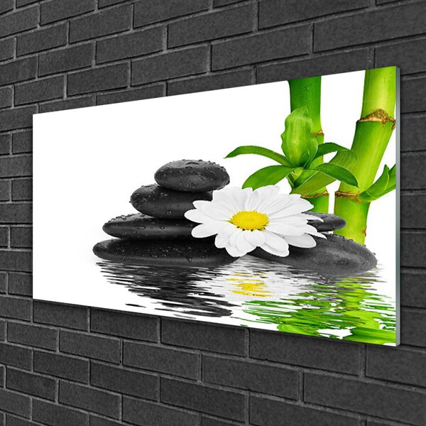 Skleneny obraz Kamene zen bambus výhonky 100x50 cm 2 Prívesky