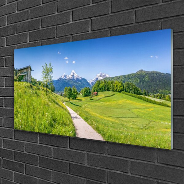 Skleneny obraz Hory lúka chodník údolí 100x50 cm 2 Prívesky