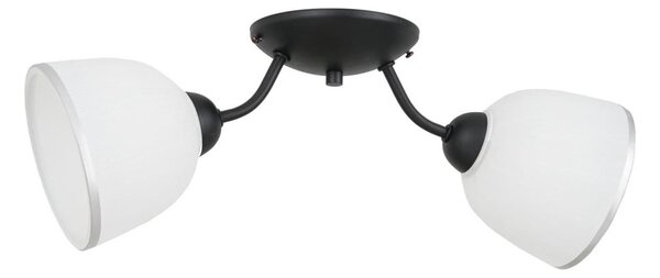 Stropné svietidlo AVIA 2xE27/60W/230V