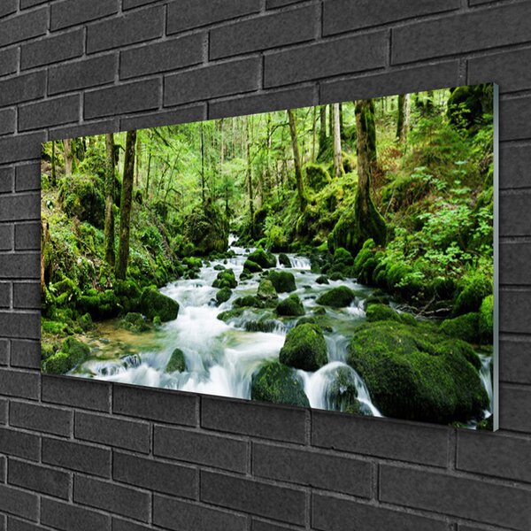 Skleneny obraz Les potok vodopády rieka 100x50 cm 2 Prívesky
