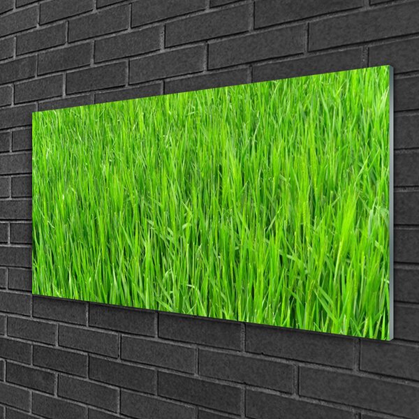 Skleneny obraz Zelená tráva príroda trávnik 100x50 cm 2 Prívesky
