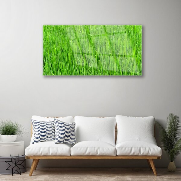 Skleneny obraz Zelená tráva príroda trávnik 100x50 cm 2 Prívesky