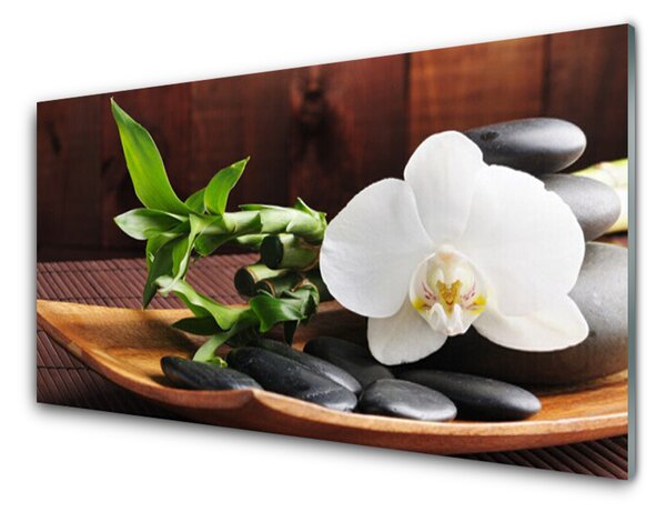 Sklenený obklad Do kuchyne Kamene zen biela orchidea 120x60 cm