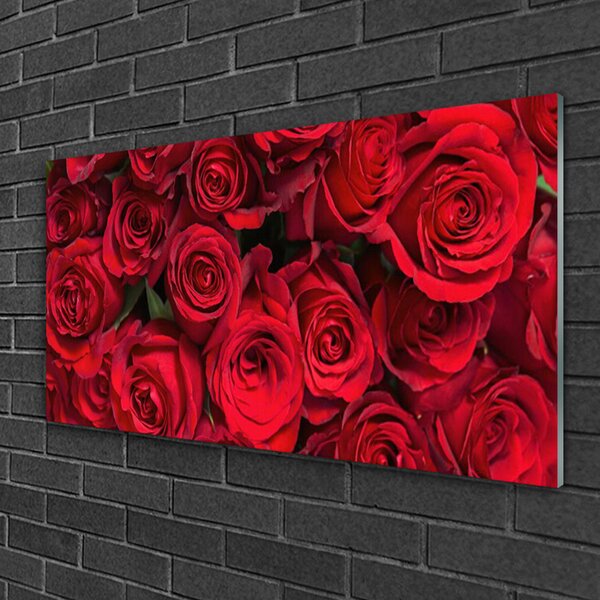 Skleneny obraz Červené ruže kvety príroda 100x50 cm 2 Prívesky