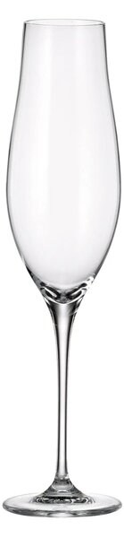 Bohemia Crystal Poháre na šampanské Limosa 200ml (set po 6ks)
