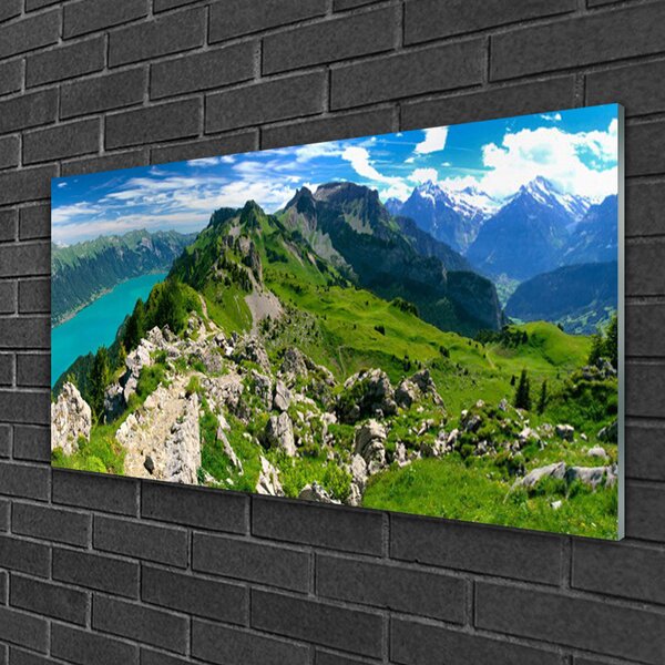 Skleneny obraz Lúka hory príroda príroda 100x50 cm 2 Prívesky