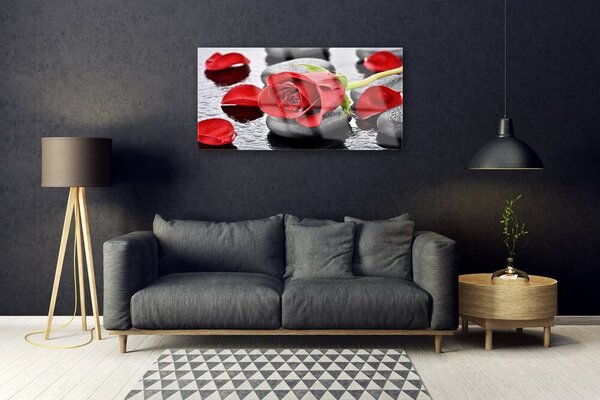 Skleneny obraz Ruže kvet kamene zen 100x50 cm 2 Prívesky