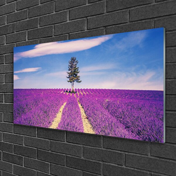 Skleneny obraz Pole levanduľa lúka strom 100x50 cm 2 Prívesky