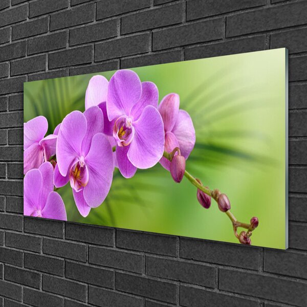 Skleneny obraz Vstavač orchidea kvety 100x50 cm 2 Prívesky