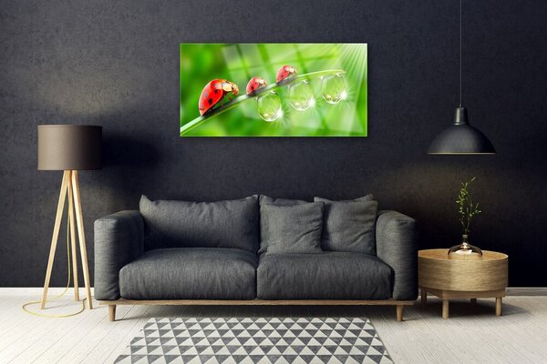 Skleneny obraz Lienky na listu kvapky 100x50 cm 2 Prívesky