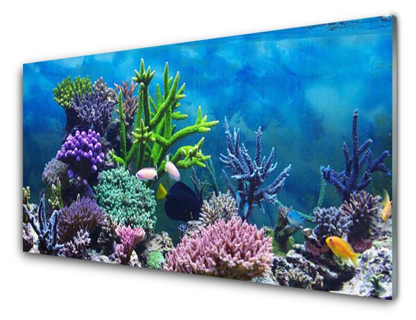 Sklenený obklad Do kuchyne Akvárium rybičky pod vodou 100x50 cm
