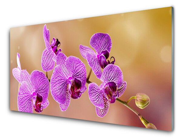 Sklenený obklad Do kuchyne Orchidea výhonky kvety príroda 125x50 cm